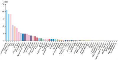 ANO1: More Than Just Calcium-Activated Chloride Channel in Cancer